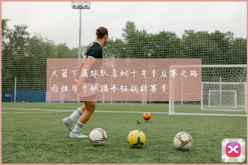 火箭下属球队毒蛇十年季后赛之路雨姐与牛顿携手征战新赛季